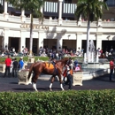 Gulfstream Park Racing And Casino - Parks