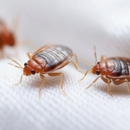 Boss Pest Control - Pest Control Equipment & Supplies