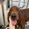 Petsense by Tractor Supply gallery