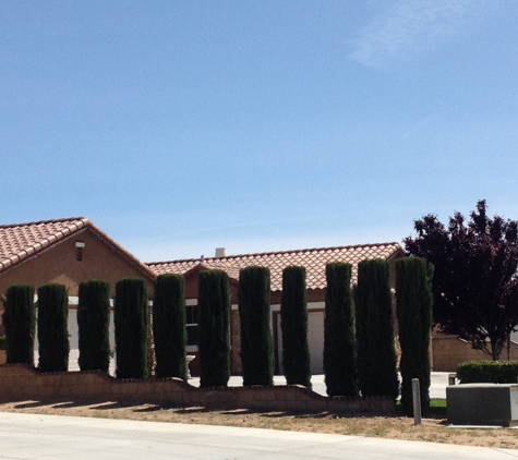 Chad's Chippers Tree Service - Lancaster, CA