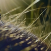 New Technology Pest Control gallery