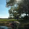 Forest Green Park Cemetery gallery