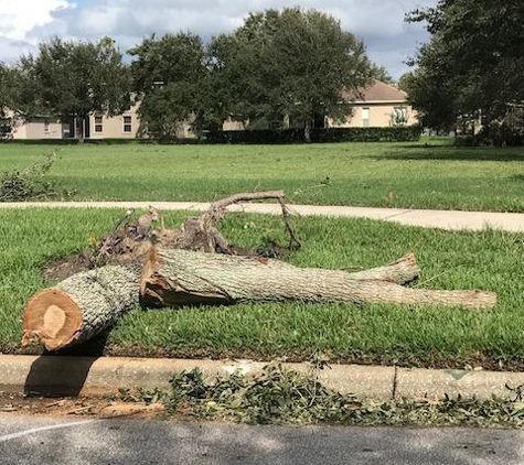 Aardvark Tree Service - Port Orange, FL