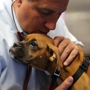 Philadelphia Animal Hospital