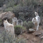 Keepers of the Wild Nature Park