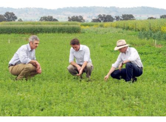 Rural Management Strategies Pty Ltd - Cootamundra, NSW