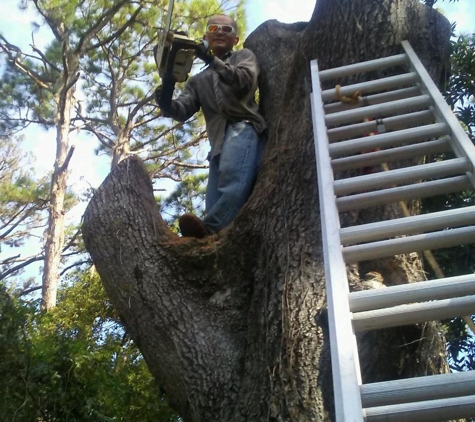 Lon's Lawn & Tree Services - Sarasota, FL