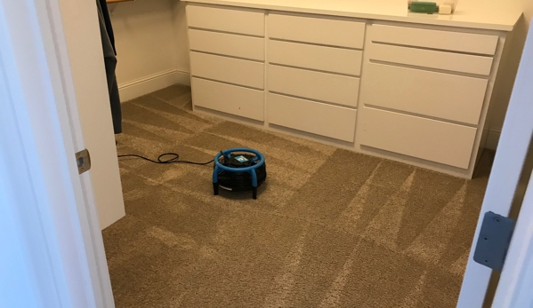 Pro-Line Cleaning Svs