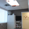 Bay Veterinary Clinic gallery