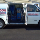 Top Dog Carpet Cleaning