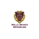 Wells Branch Remodeling