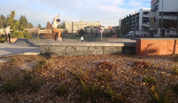 Hubbard Homestead Park - Seattle, WA