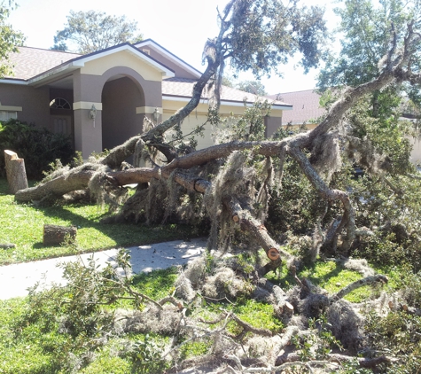 Shawn Sanderson Tree Service & Property Maintenance - New Port Richey, FL