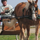 Concord Equestrian Center - Horse Training