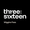 Three Sixteen — Wiggins Pass gallery
