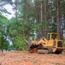 A&M Tree Service - Stump Removal & Grinding