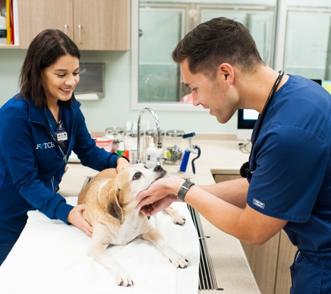 Fetch Specialty & Emergency Veterinary Centers - Greenville, SC - Greenville, SC