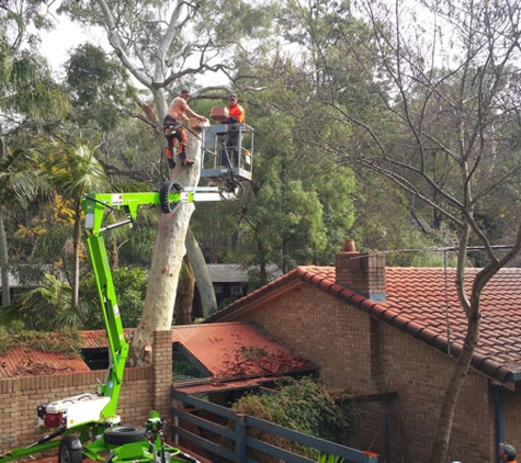 Blackwood Tree Service