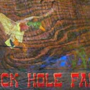 Duck Hole Farm, LLC - Web Site Design & Services