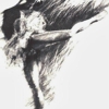 California Dance Theatre gallery