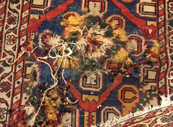 Oriental Rugs Specialist - Carlsbad, CA