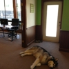 Ink Fund gallery