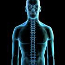 Clearway Pain Solutions - Pensacola Chiropractic and PT - Physicians & Surgeons, Pain Management