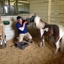 Eddie Esparza Equine Dentist - Horse Equipment & Services