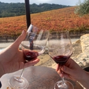 Hammersky Vineyards