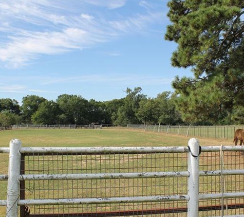 Jones Road Ranch - New Waverly, TX