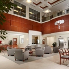 Palm Beach Orthopaedic   Institute