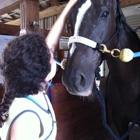 North Dallas Equestrian