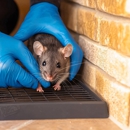 BOGO Pest Control - Pest Control Equipment & Supplies