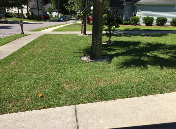 Polyrey Landscaping - Bluffton, SC. New Grass