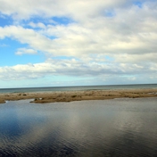 Gallery Image Number 1