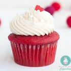 Buttercream Bliss Gourmet Cupcakes