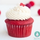 Buttercream Bliss Gourmet Cupcakes