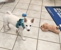 Jester Plaza Veterinary Clinic - Veterinarians