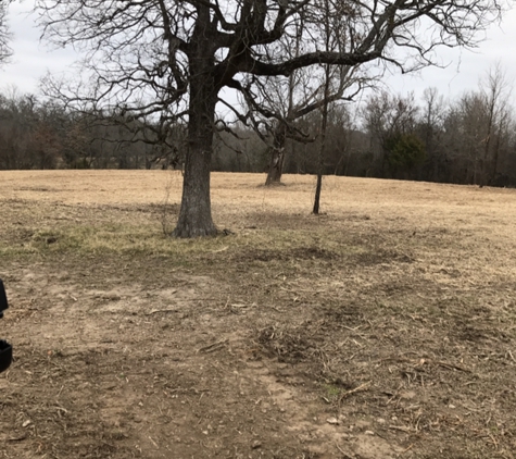 Brush Whackers LLC Land Clearing Forestry Mulching - Brashear, TX