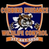 Corbin's Nuisance Wildlife Control gallery
