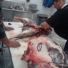 High Desert Meat Processing