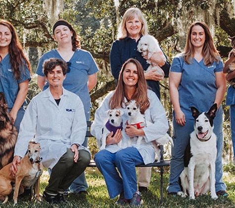 VCA Charles Towne Animal Hospital - Charleston, SC