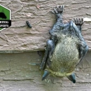 Wildlife Removal & Exclusion Experts, Inc. - Animal Removal Services