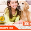 Carpet Cleaning Conroe Texas gallery