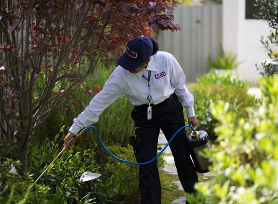 Clark Pest Control - Riverside, CA