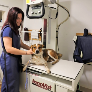 Coldwater Animal Hospital - Rochester, NY