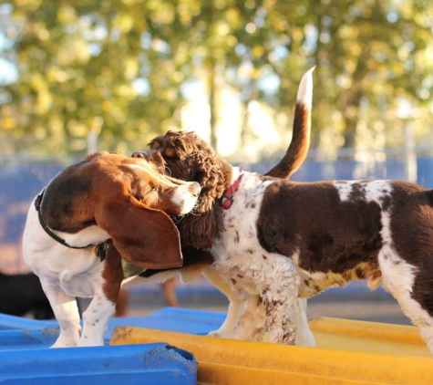 Lucky Dog Boarding, Daycare & Training - Colorado Springs, CO