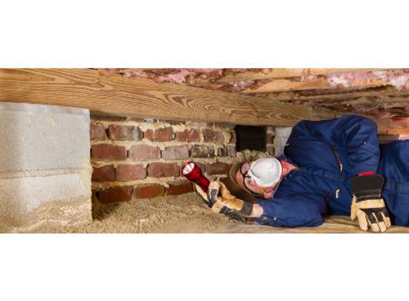 Conquest Pest & Termite Control - Bray Park, QLD