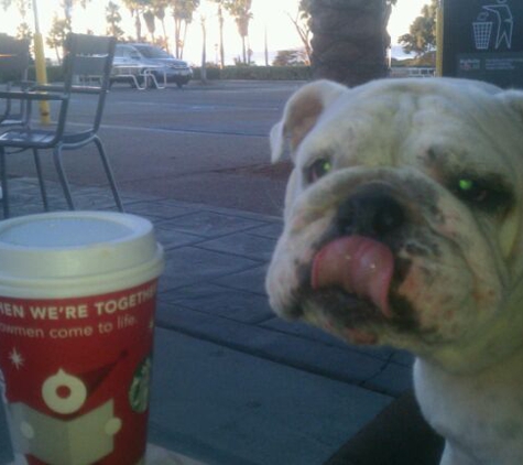 Starbucks Coffee - Cardiff, CA