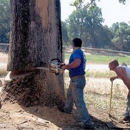 High Sierra Tree Service - Arborists